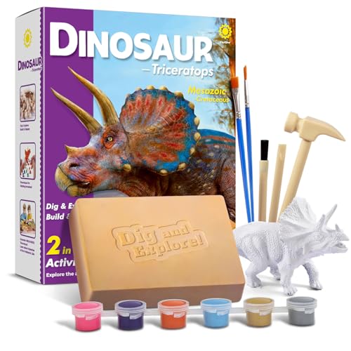 EGGBOX Dinosaurier Skelett Ausgrabungsset für Kinder, 2-in-1 Triceratops Dino Dig & Malset, Dinosaurier Spielzeug für Kinder ab 6, Fossilien Paleontologie Experimente & Bastelset für Jungen Mädchen von Eggbox