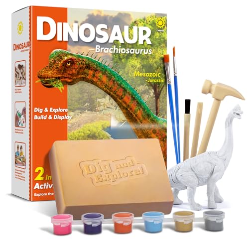 EGGBOX Dinosaurier Skelett Ausgrabungsset für Kinder, 2-in-1 Brachiosaurus Dino Dig & Malset, Dinosaurier Spielzeug für Kinder ab 6, Fossilien Paleontologie Experimente & Bastelset für Jungen Mädchen von Eggbox