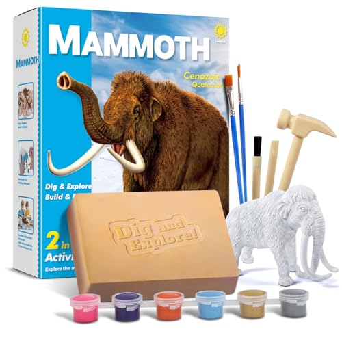EGGBOX Mammut Skelett Ausgrabungsset für Kinder – 2-in-1 Graben & Erforschen Kit mit Graffiti-Mammut, Experimente für Kinder ab 6, Fossilien Paleontologie Experimente & Bastelset für Jungen Mädchen von Eggbox