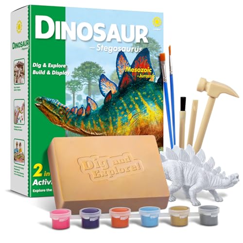 EGGBOX Dinosaurier Skelett Ausgrabungsset für Kinder, 2-in-1 Stegosaurus Dino Dig & Malset, Dinosaurier Spielzeug für Kinder ab 6, Fossilien Paleontologie Experimente & Bastelset für Jungen Mädchen von Eggbox