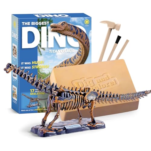 Eggbox Titanosaur Dinosaurier Knochen Ausgrabungsset fur Kinder, 19 teiliges Skelett zum Ausgraben, Bauen & Ausstellen, STEM Spielzeug Prähistorisches Abenteuer Geschenk für Jungen und Mädchen von Eggbox