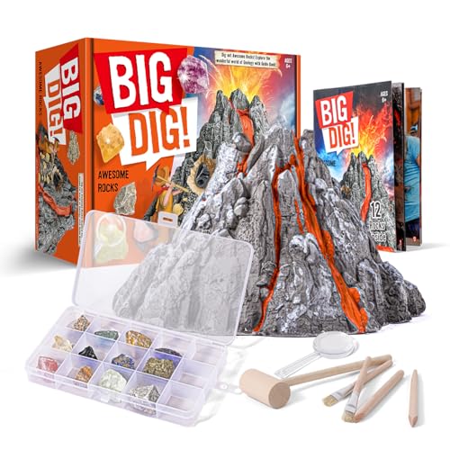 Eggbox Vulkan Edelsteine Ausgrabungsset für Kinder - 12 Echte Mineralien inkl Pyrit, Amethyst, Mit Hammer, Meißel, Lupe, Aufbewahrungsbox, Geologie Archäologi Spielzeug Geschenk für Kinder ab 6+ Jahre Eggbox Vulkan Edelsteine Ausgrabungsset für Kinder - 12 Echte Mineralien inkl Pyrit, Amethyst, Mit Hammer, Meißel, Lupe, Aufbewahrungsbox, Geologie Archäologi Spielzeug Geschenk für Kinder ab 6+ Jahre von Eggbox