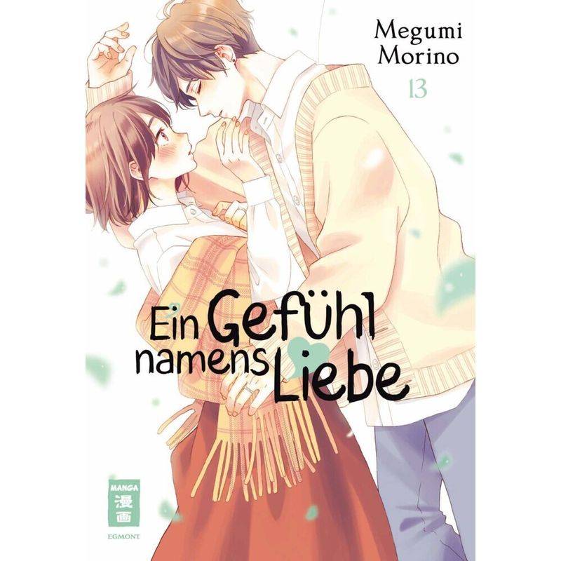 Ein Gefühl namens Liebe 13 von Egmont Manga