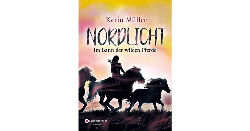 Buch - Nordlicht: Im Bann der wilden Pferde, Band 2 von Schneiderbuch