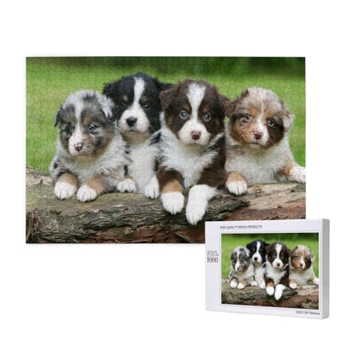 Australian Shepherd Kleine Welpen Quartett,1000 Teile Holzpuzzle Familienspiel Puzzles für Erwachsene Teenager Heimdekoration Australian Shepherd Kleine Welpen Quartett,1000 Teile Holzpuzzle Familienspiel Puzzles für Erwachsene Teenager Heimdekoration von EgoMed