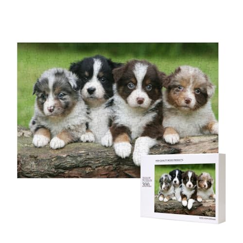 Australian Shepherd Kleine Welpen Quartett,300 Teile Holzpuzzle Familienspiel Puzzles für Erwachsene Teenager Heimdekoration Australian Shepherd Kleine Welpen Quartett,300 Teile Holzpuzzle Familienspiel Puzzles für Erwachsene Teenager Heimdekoration von EgoMed