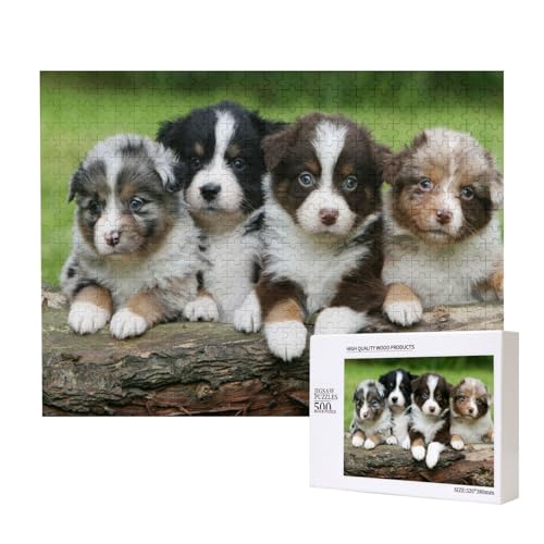 Australian Shepherd Kleine Welpen Quartett,500 Teile Holzpuzzle Familienspiel Puzzles für Erwachsene Teenager Heimdekoration Australian Shepherd Kleine Welpen Quartett,500 Teile Holzpuzzle Familienspiel Puzzles für Erwachsene Teenager Heimdekoration von EgoMed