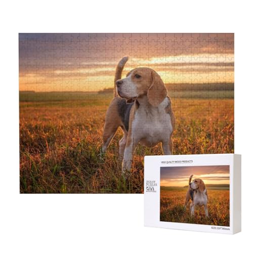 Beagle Rasenhunde auf einem Spaziergang Haustiere Hunde Sonnenuntergang,500 Teile Holzpuzzle Familienspiel Puzzles für Erwachsene Teenager Heimdekoration Beagle Rasenhunde auf einem Spaziergang Haustiere Hunde Sonnenuntergang,500 Teile Holzpuzzle Familienspiel Puzzles für Erwachsene Teenager Heimdekoration von EgoMed
