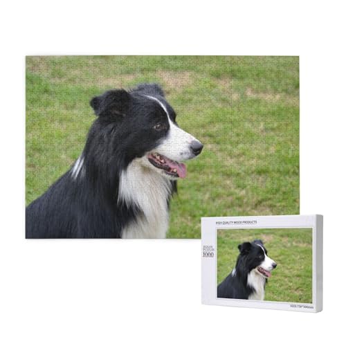 Border Collie,1000 Teile Holzpuzzle Familienspiel Puzzles für Erwachsene Teenager Heimdekoration Border Collie,1000 Teile Holzpuzzle Familienspiel Puzzles für Erwachsene Teenager Heimdekoration von EgoMed