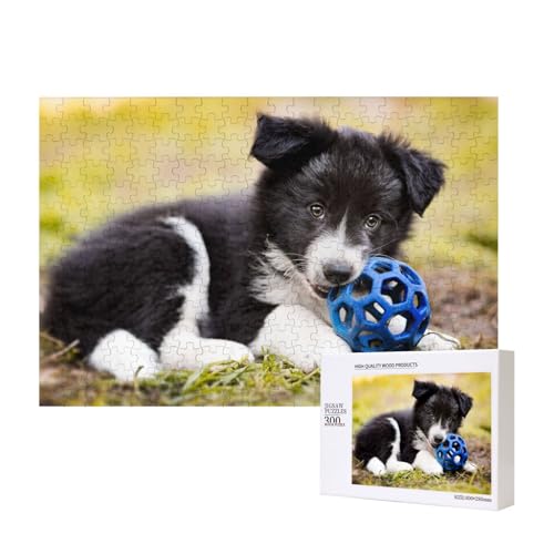 Border Collie Hunde Welpen Haustiere Black Border,300 Teile Holzpuzzle Familienspiel Puzzles für Erwachsene Teenager Heimdekoration von EgoMed