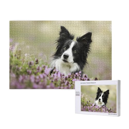 Border Collie Rasen Schwarz Border Collie Haustiere,1000 Teile Holzpuzzle Familienspiel Puzzles für Erwachsene Teenager Heimdekoration von EgoMed
