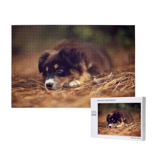 Border Collie Welpe Bokeh Brauner Border Collie,1000 Teile Holzpuzzle Familienspiel Puzzles für Erwachsene Teenager Heimdekoration Border Collie Welpe Bokeh Brauner Border Collie,1000 Teile Holzpuzzle Familienspiel Puzzles für Erwachsene Teenager Heimdekoration von EgoMed