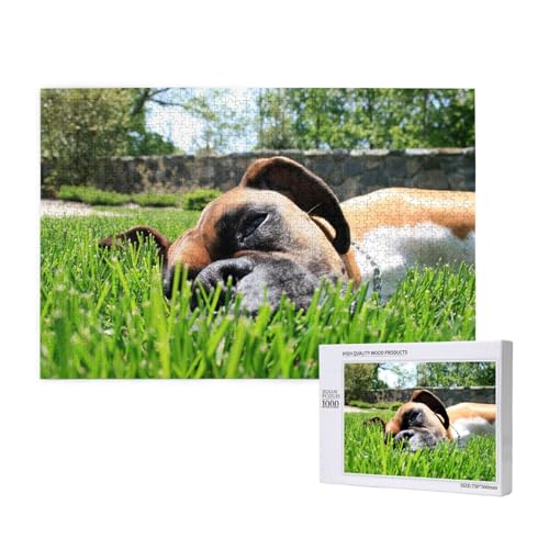 Boxer Hunde Grünes Gras Haustiere Rasen Hunde,1000 Teile Holzpuzzle Familienspiel Puzzles für Erwachsene Teenager Heimdekoration Boxer Hunde Grünes Gras Haustiere Rasen Hunde,1000 Teile Holzpuzzle Familienspiel Puzzles für Erwachsene Teenager Heimdekoration von EgoMed
