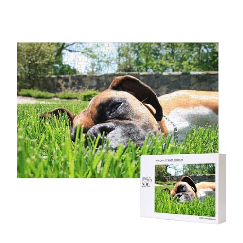 Boxer Hunde Grünes Gras Haustiere Rasenhunde,300 Teile Holzpuzzle Familienspiel Puzzles für Erwachsene Teenager Heimdekoration Boxer Hunde Grünes Gras Haustiere Rasenhunde,300 Teile Holzpuzzle Familienspiel Puzzles für Erwachsene Teenager Heimdekoration von EgoMed