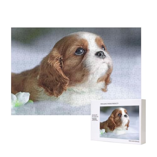 Cavalier King Charles Spaniel Gesicht,300 Teile Holzpuzzle Familienspiel Puzzles für Erwachsene Teenager Heimdekoration Cavalier King Charles Spaniel Gesicht,300 Teile Holzpuzzle Familienspiel Puzzles für Erwachsene Teenager Heimdekoration von EgoMed