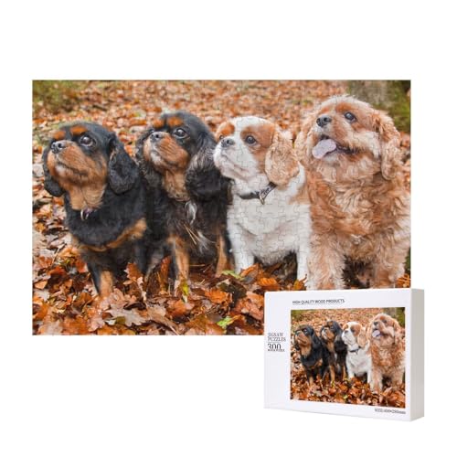 Cavalier King Charles Spaniel Herbstwelpen,300 Teile Holzpuzzle Familienspiel Puzzles für Erwachsene Teenager Heimdekoration Cavalier King Charles Spaniel Herbstwelpen,300 Teile Holzpuzzle Familienspiel Puzzles für Erwachsene Teenager Heimdekoration von EgoMed