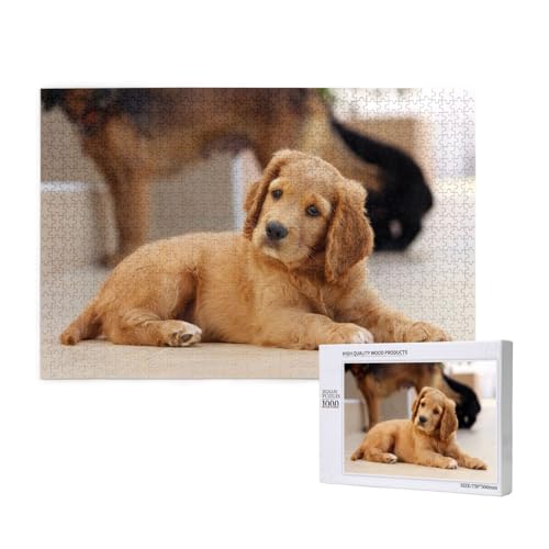 Cocker Spaniel Welpe Kleiner Spaniel Hunde Haustiere,1000 Teile Holzpuzzle Familienspiel Puzzles für Erwachsene Teenager Heimdekoration Cocker Spaniel Welpe Kleiner Spaniel Hunde Haustiere,1000 Teile Holzpuzzle Familienspiel Puzzles für Erwachsene Teenager Heimdekoration von EgoMed