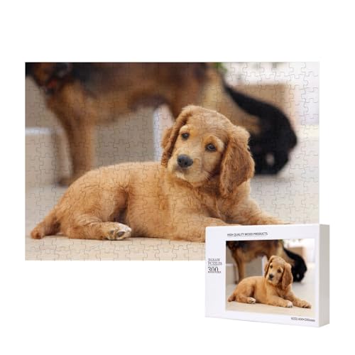 Cocker Spaniel Welpe Kleiner Spaniel Hunde Haustiere,300 Teile Holzpuzzle Familienspiel Puzzles für Erwachsene Teenager Heimdekoration Cocker Spaniel Welpe Kleiner Spaniel Hunde Haustiere,300 Teile Holzpuzzle Familienspiel Puzzles für Erwachsene Teenager Heimdekoration von EgoMed