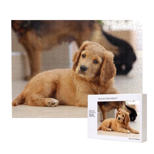 Cocker Spaniel Welpe Kleiner Spaniel Hunde Haustiere,500 Teile Holzpuzzle Familienspiel Puzzles für Erwachsene Teenager Heimdekoration von EgoMed
