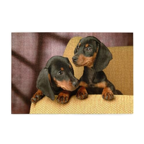 Dackelwelpen, Haustiere, Hunde, Kleiner Dackel,1000 Teile Holzpuzzle Familienspiel Puzzles für Erwachsene Teenager Heimdekoration Dackelwelpen, Haustiere, Hunde, Kleiner Dackel,1000 Teile Holzpuzzle Familienspiel Puzzles für Erwachsene Teenager Heimdekoration von EgoMed