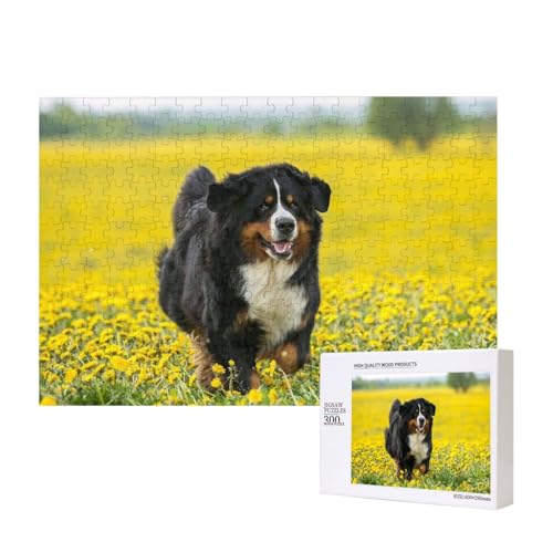 Glücklicher Berner Sennenhund,300 Teile Holzpuzzle Familienspiel Puzzles für Erwachsene Teenager Heimdekoration Glücklicher Berner Sennenhund,300 Teile Holzpuzzle Familienspiel Puzzles für Erwachsene Teenager Heimdekoration von EgoMed