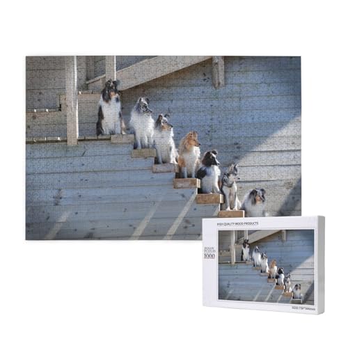 Hunde Border Collie Shetland Sheepdogs Alaskan,1000 Teile Holzpuzzle Familienspiel Puzzles für Erwachsene Teenager Heimdekoration Hunde Border Collie Shetland Sheepdogs Alaskan,1000 Teile Holzpuzzle Familienspiel Puzzles für Erwachsene Teenager Heimdekoration von EgoMed