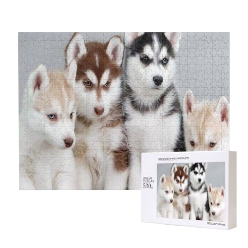 Husky-Welpen,500 Teile Holzpuzzle Familienspiel Puzzles für Erwachsene Teenager Heimdekoration Husky-Welpen,500 Teile Holzpuzzle Familienspiel Puzzles für Erwachsene Teenager Heimdekoration von EgoMed