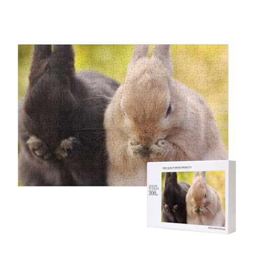 Kaninchen Fluffy,300 Teile Holzpuzzle Familienspiel Puzzles für Erwachsene Teenager Heimdekoration Kaninchen Fluffy,300 Teile Holzpuzzle Familienspiel Puzzles für Erwachsene Teenager Heimdekoration von EgoMed
