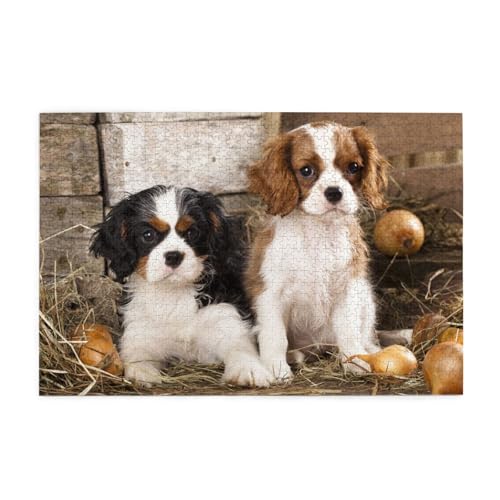 Kleine Cavalier King Charles Spaniel-Welpen,1000 Teile Holzpuzzle Familienspiel Puzzles für Erwachsene Teenager Heimdekoration Kleine Cavalier King Charles Spaniel-Welpen,1000 Teile Holzpuzzle Familienspiel Puzzles für Erwachsene Teenager Heimdekoration von EgoMed