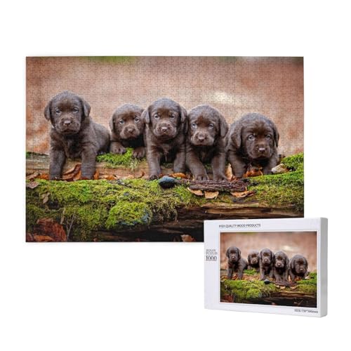 Labrador Welpen Braun Kleine Welpen Familie,1000 Teile Holzpuzzle Familienspiel Puzzles für Erwachsene Teenager Heimdekoration Labrador Welpen Braun Kleine Welpen Familie,1000 Teile Holzpuzzle Familienspiel Puzzles für Erwachsene Teenager Heimdekoration von EgoMed