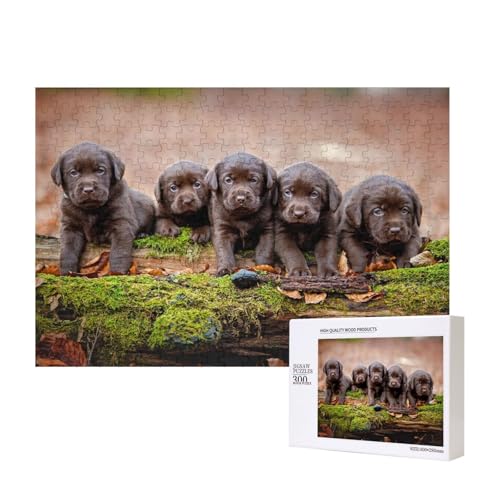 Labrador Welpen Braun Kleine Welpen Familie,300 Teile Holzpuzzle Familienspiel Puzzles für Erwachsene Teenager Heimdekoration Labrador Welpen Braun Kleine Welpen Familie,300 Teile Holzpuzzle Familienspiel Puzzles für Erwachsene Teenager Heimdekoration von EgoMed