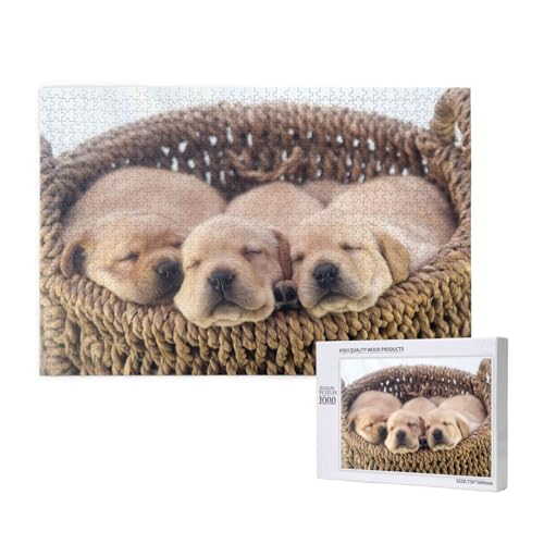 Labradors Kleine Welpen Golden Retriever,1000 Teile Holzpuzzle Familienspiel Puzzles für Erwachsene Teenager Heimdekoration Labradors Kleine Welpen Golden Retriever,1000 Teile Holzpuzzle Familienspiel Puzzles für Erwachsene Teenager Heimdekoration von EgoMed