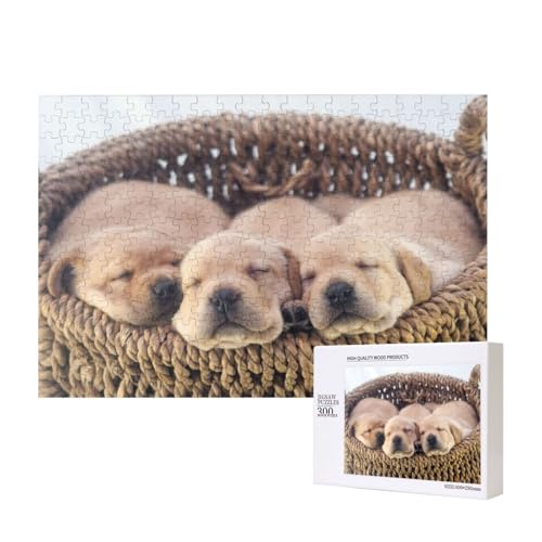 Labradors Kleine Welpen Golden Retriever,300 Teile Holzpuzzle Familienspiel Puzzles für Erwachsene Teenager Heimdekoration Labradors Kleine Welpen Golden Retriever,300 Teile Holzpuzzle Familienspiel Puzzles für Erwachsene Teenager Heimdekoration von EgoMed