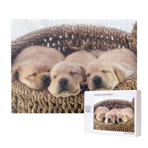 Labradors Kleine Welpen Golden Retriever,500 Teile Holzpuzzle Familienspiel Puzzles für Erwachsene Teenager Heimdekoration Labradors Kleine Welpen Golden Retriever,500 Teile Holzpuzzle Familienspiel Puzzles für Erwachsene Teenager Heimdekoration von EgoMed