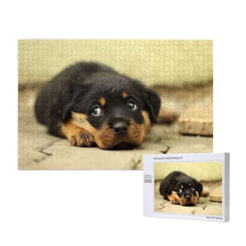 Rottweiler Hunde Süße Hunde Welpen Haustiere Klein,1000 Teile Holzpuzzle Familienspiel Puzzles für Erwachsene Teenager Heimdekoration Rottweiler Hunde Süße Hunde Welpen Haustiere Klein,1000 Teile Holzpuzzle Familienspiel Puzzles für Erwachsene Teenager Heimdekoration von EgoMed