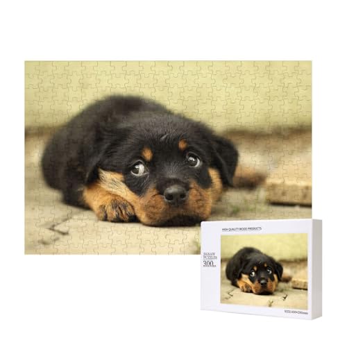 Rottweiler Hunde Süße Hunde Welpen Haustiere Klein,300 Teile Holzpuzzle Familienspiel Puzzles für Erwachsene Teenager Heimdekoration Rottweiler Hunde Süße Hunde Welpen Haustiere Klein,300 Teile Holzpuzzle Familienspiel Puzzles für Erwachsene Teenager Heimdekoration von EgoMed