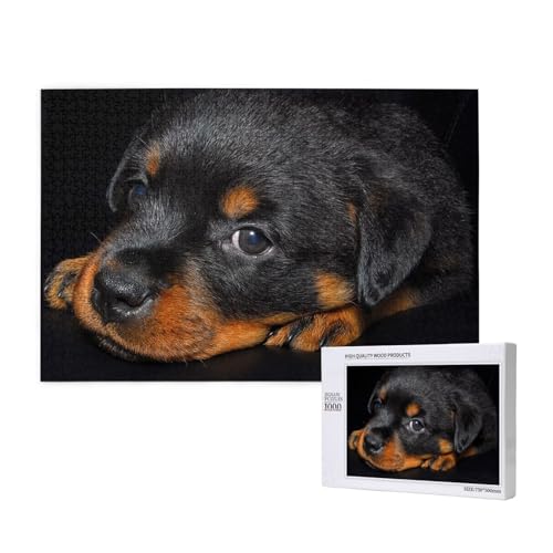 Rottweiler-Welpen, Haustiere, kleine Rottweiler-Hunde,1000 Teile Holzpuzzle Familienspiel Puzzles für Erwachsene Teenager Heimdekoration Rottweiler-Welpen, Haustiere, kleine Rottweiler-Hunde,1000 Teile Holzpuzzle Familienspiel Puzzles für Erwachsene Teenager Heimdekoration von EgoMed