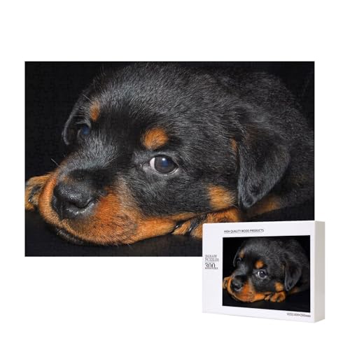 Rottweiler Welpen Haustiere Kleine Rottweiler Hunde,300 Teile Holzpuzzle Familienspiel Puzzles für Erwachsene Teenager Heimdekoration Rottweiler Welpen Haustiere Kleine Rottweiler Hunde,300 Teile Holzpuzzle Familienspiel Puzzles für Erwachsene Teenager Heimdekoration von EgoMed