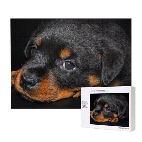 Rottweiler Welpen Haustiere Kleine Rottweiler Hunde,500 Teile Holzpuzzle Familienspiel Puzzles für Erwachsene Teenager Heimdekoration Rottweiler Welpen Haustiere Kleine Rottweiler Hunde,500 Teile Holzpuzzle Familienspiel Puzzles für Erwachsene Teenager Heimdekoration von EgoMed