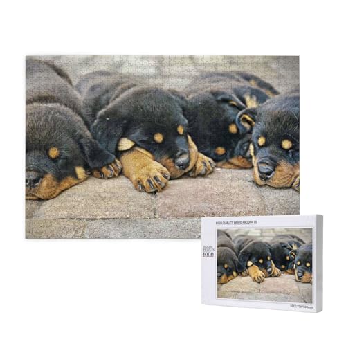 Rottweiler schlafende Hunde Haustiere Welpen klein,1000 Teile Holzpuzzle Familienspiel Puzzles für Erwachsene Teenager Heimdekoration Rottweiler schlafende Hunde Haustiere Welpen klein,1000 Teile Holzpuzzle Familienspiel Puzzles für Erwachsene Teenager Heimdekoration von EgoMed