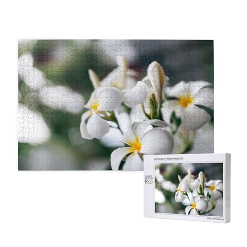Schöne weiße Frangipani Wake Plumeria Blumen,1000 Teile Holzpuzzle Familienspiel Puzzles für Erwachsene Teenager Heimdekoration Schöne weiße Frangipani Wake Plumeria Blumen,1000 Teile Holzpuzzle Familienspiel Puzzles für Erwachsene Teenager Heimdekoration von EgoMed