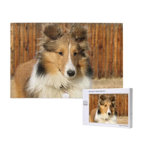 Schöner Sheltie-Hund,1000 Teile Holzpuzzle Familienspiel Puzzles für Erwachsene Teenager Heimdekoration Schöner Sheltie-Hund,1000 Teile Holzpuzzle Familienspiel Puzzles für Erwachsene Teenager Heimdekoration von EgoMed