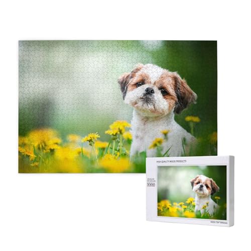 Shih Tzu Kleine Süße Hunde Lockige Welpen Haustiere Feld,1000 Teile Holzpuzzle Familienspiel Puzzles für Erwachsene Teenager Heimdekoration Shih Tzu Kleine Süße Hunde Lockige Welpen Haustiere Feld,1000 Teile Holzpuzzle Familienspiel Puzzles für Erwachsene Teenager Heimdekoration von EgoMed