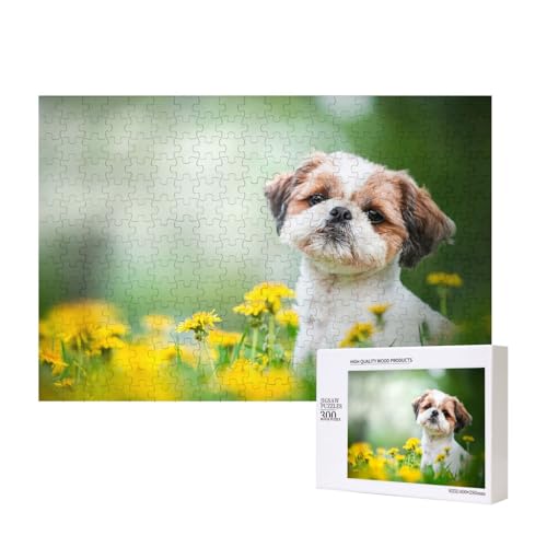 Shih Tzu kleine süße Hunde lockige Welpen Haustiere Feld,300 Teile Holzpuzzle Familienspiel Puzzles für Erwachsene Teenager Heimdekoration Shih Tzu kleine süße Hunde lockige Welpen Haustiere Feld,300 Teile Holzpuzzle Familienspiel Puzzles für Erwachsene Teenager Heimdekoration von EgoMed