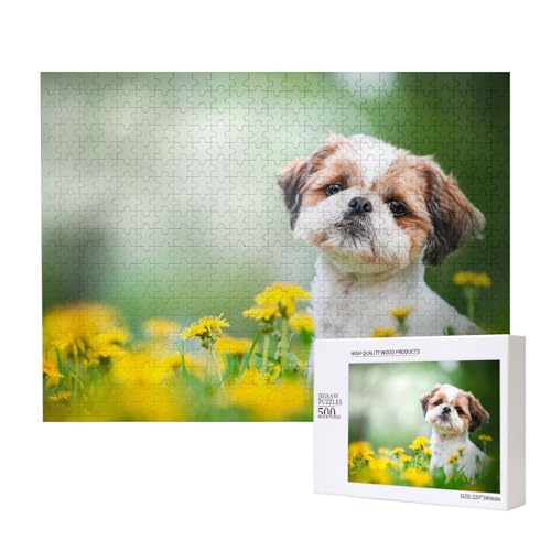 Shih Tzu kleine süße Hunde lockige Welpen Haustiere Feld,500 Teile Holzpuzzle Familienspiel Puzzles für Erwachsene Teenager Heimdekoration Shih Tzu kleine süße Hunde lockige Welpen Haustiere Feld,500 Teile Holzpuzzle Familienspiel Puzzles für Erwachsene Teenager Heimdekoration von EgoMed