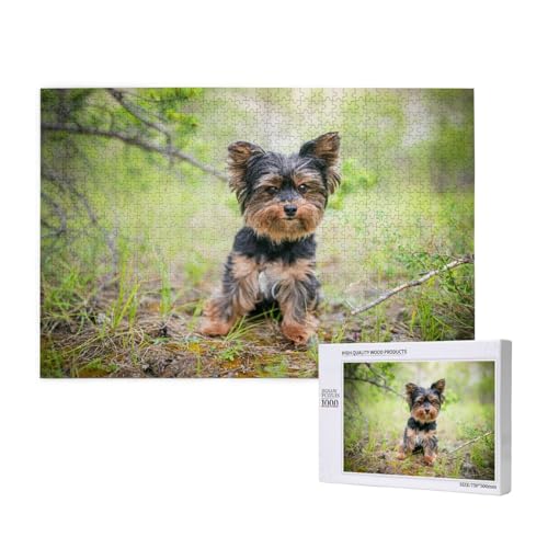 Yorkshire Terrier, Kleiner Welpe, Haustiere, Hunde,1000 Teile Holzpuzzle Familienspiel Puzzles für Erwachsene Teenager Heimdekoration Yorkshire Terrier, Kleiner Welpe, Haustiere, Hunde,1000 Teile Holzpuzzle Familienspiel Puzzles für Erwachsene Teenager Heimdekoration von EgoMed