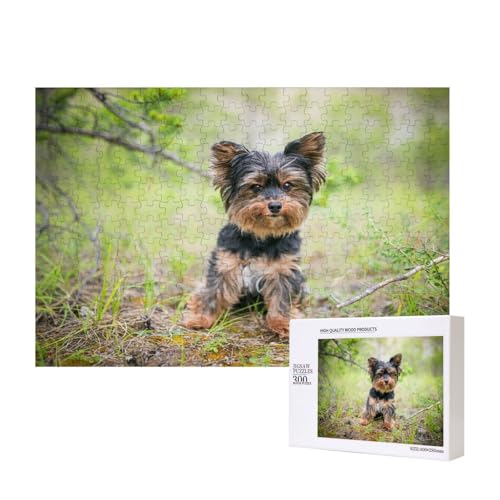 Yorkshire Terrier, Kleiner Welpe, Haustiere, Hunde,300 Teile Holzpuzzle Familienspiel Puzzles für Erwachsene Teenager Heimdekoration Yorkshire Terrier, Kleiner Welpe, Haustiere, Hunde,300 Teile Holzpuzzle Familienspiel Puzzles für Erwachsene Teenager Heimdekoration von EgoMed
