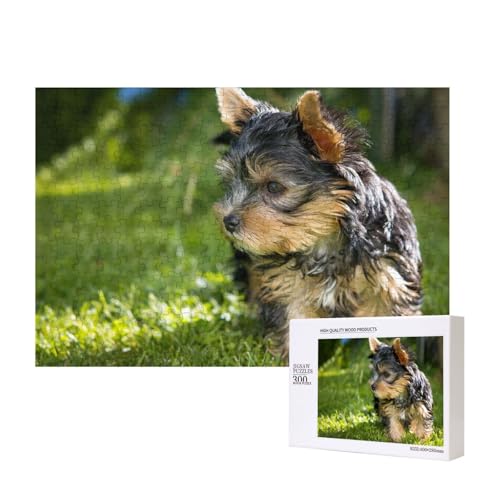 Yorkshire Terrier Grünes Gras Süße Hunde,300 Teile Holzpuzzle Familienspiel Puzzles für Erwachsene Teenager Heimdekoration Yorkshire Terrier Grünes Gras Süße Hunde,300 Teile Holzpuzzle Familienspiel Puzzles für Erwachsene Teenager Heimdekoration von EgoMed
