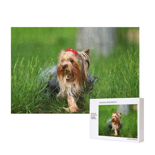 Yorkshire Terrier Rasen süße Hunde Sommer rote Schleife,300 Teile Holzpuzzle Familienspiel Puzzles für Erwachsene Teenager Heimdekoration Yorkshire Terrier Rasen süße Hunde Sommer rote Schleife,300 Teile Holzpuzzle Familienspiel Puzzles für Erwachsene Teenager Heimdekoration von EgoMed