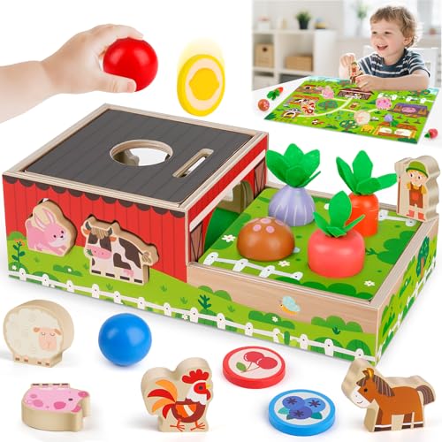 Montessori Spielzeug ab 1 2 Jahr: Geschenk Junge Mädchen 1-2 Jahre Kinderspielzeug Motorikwürfel Holzspielzeug Farmspiel mit Karte Karotten Steckspiel Lernspiel Kleinkinder ab 12 Monate Activity Spiel Montessori Spielzeug ab 1 2 Jahr: Geschenk Junge Mädchen 1-2 Jahre Kinderspielzeug Motorikwürfel Holzspielzeug Farmspiel mit Karte Karotten Steckspiel Lernspiel Kleinkinder ab 12 Monate Activity Spiel von Eichhoo